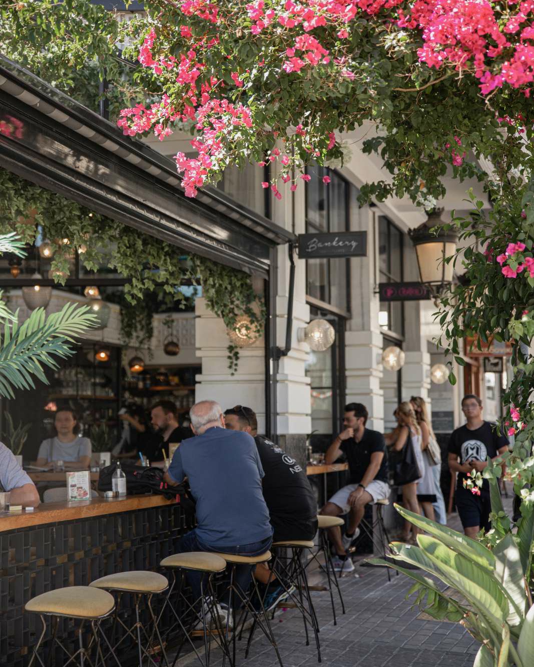 471164652 3960227177567993 4692198258658471452 n